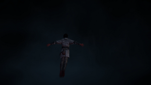 ACMir In Pursuit of Truth 61.png
