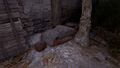 Thumbnail for version as of 00:33, 23 January 2026