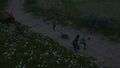 Thumbnail for version as of 15:08, 15 July 2026