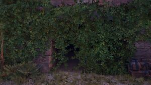 Achaia-TeichosofHerakles-cavernentry.jpg