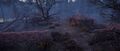 Thumbnail for version as of 00:26, 23 January 2026