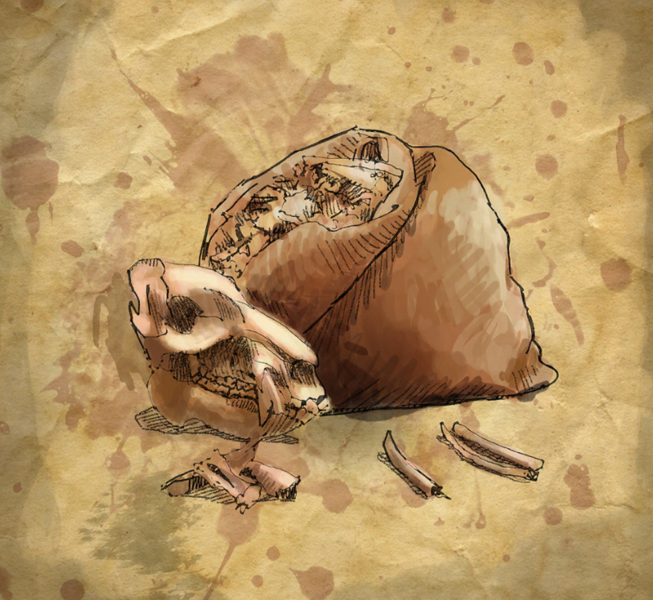 File:BocLargeSackclothBag.png