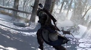 Connor chasing deer.jpg