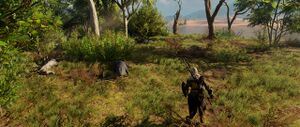 ACO Phylakes' Prey 3.jpg