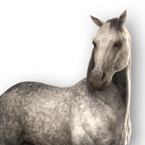 ACSH Mount Ginkgo.png