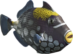 ACBFR DB Clown Triggerfish.png