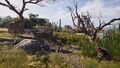 Kassandra approaching the camp