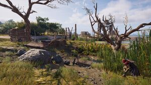 ACOd-Elis-QuicksandBay-01.jpg