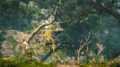 Thumbnail for version as of 00:06, 23 January 2026