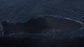 Thumbnail for version as of 00:17, 23 January 2026