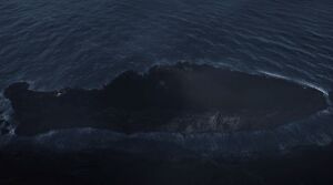 ACV Malin Head.jpg