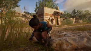 ACOd-Myrtoplaying.jpg