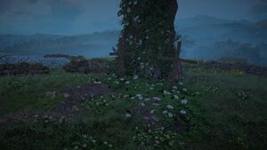 ACV Nostalgia 2.jpg