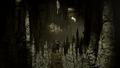 Thumbnail for version as of 00:28, 23 January 2026