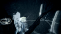 Thumbnail for version as of 00:06, 23 January 2026