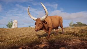 ACOd-cow.jpg