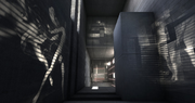 In the Animus