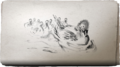 Thumbnail for version as of 00:20, 23 January 2026
