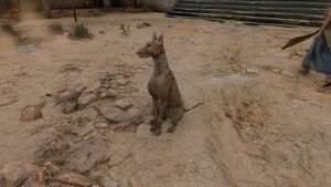 Sitting-dog-origins.jpg
