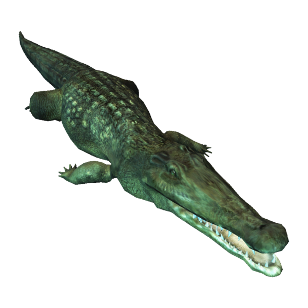 File:AC4DB - Crocodile.png