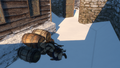 Thumbnail for version as of 00:13, 23 January 2026