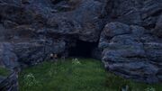 The cave entrance