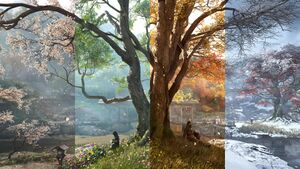 ACShadows Promotional Screenshot 17.jpg