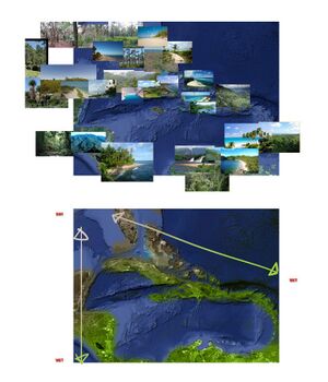 ACP Environment analysis.jpg