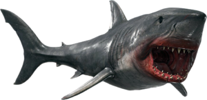 ACBFR DB Great White Shark.png