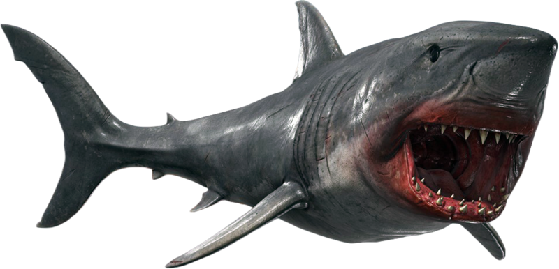 File:ACBFR DB Great White Shark.png