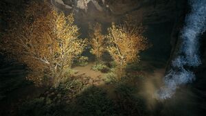 ACOd-Makedonia-HuntsmansGlade.jpg