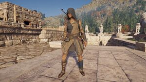 ACOd-Set-Traveler1.jpg