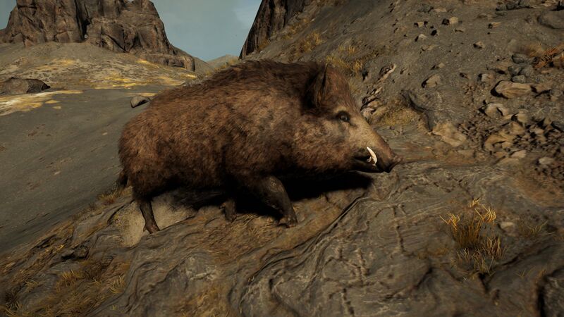 File:ACOd-boar.jpg