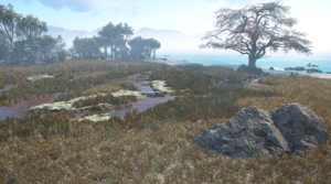 ACSH Takasago Wetlands 1.png