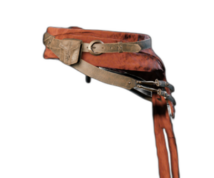 ACU Arno's Master Belt.png