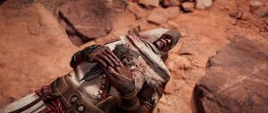 ACO Respect Thy Brother 4.jpg