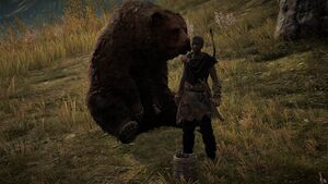 ACOd-LotFB-PhratagouneBear.jpg
