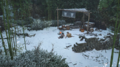 Thumbnail for version as of 00:10, 23 January 2026