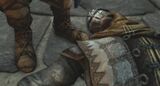 Shahkulu lays dead at Ezio's feet.