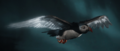 Thumbnail for version as of 00:07, 23 January 2026