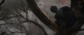 Thumbnail for version as of 00:07, 23 January 2026