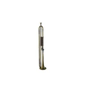 ACBFR DB Trumpet.webp