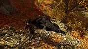 Kassandra hunting a bear for its scrotum