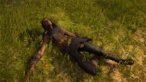 ACOd-LotFB3-Artazostredead.jpg