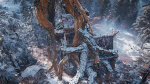 ACV Heart of the Wood 2.jpg