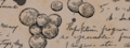 Thumbnail for version as of 00:07, 23 January 2026