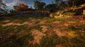 ACV The Dark Weald.jpg