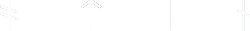 File:ACV Odin Native.png