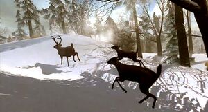 Fleeing-deer.jpg