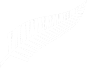 Silver fern flag.png